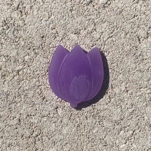 Tulip wax melts $20 for 25